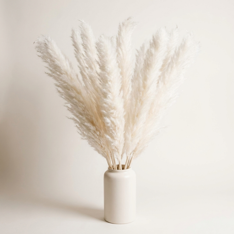 Decorative Pampas Grass Stems with Soft Feathery Texture