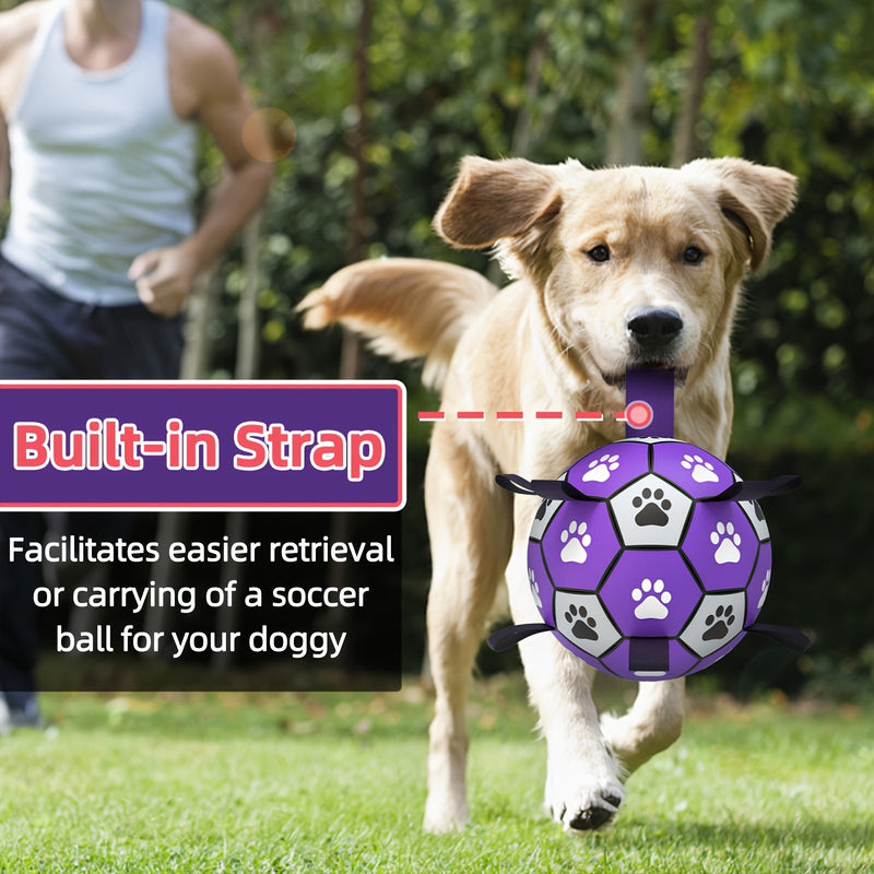 Rubber dog play ball with handles for indoor and outdoor use