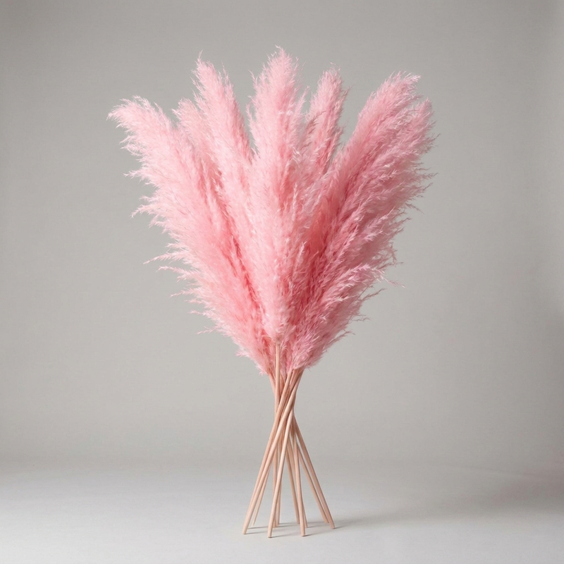 Decorative Pampas Grass Stems with Soft Feathery Texture