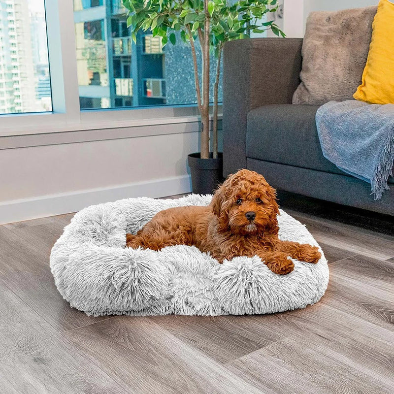 Memory Foam Dog Bed with Removable Cover