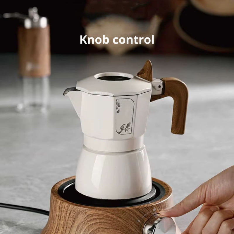 Mini Electric Hot Plate with Temperature Control for Compact Use