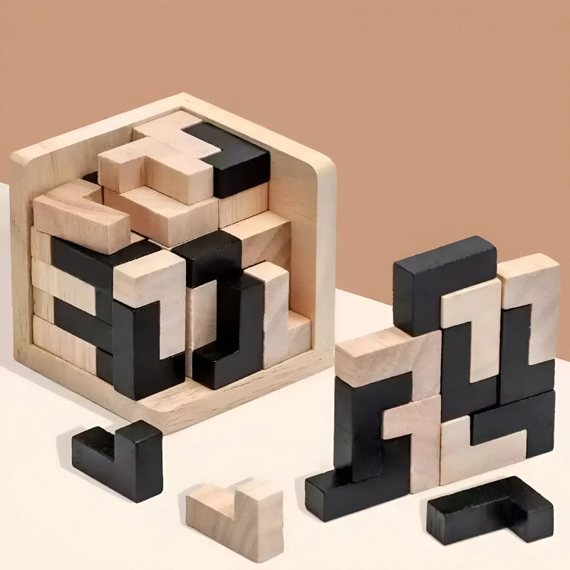3D Wooden Brain Teaser Puzzle