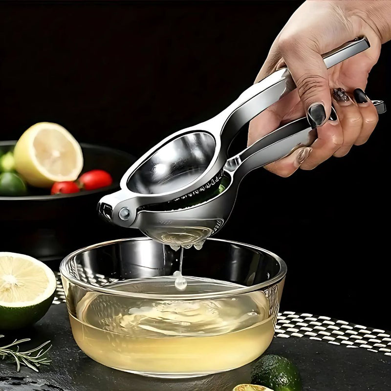 Stainless Steel Citrus Juicer with Ergonomic Handle and Minimalist Design