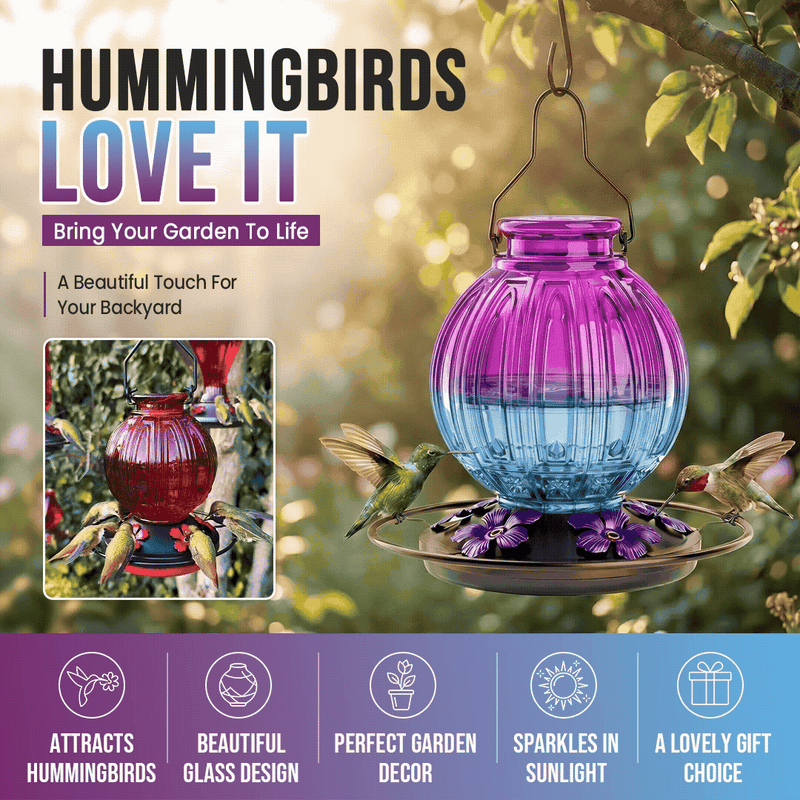 26 oz Gradient Glass Hummingbird Feeder with Circular Perch