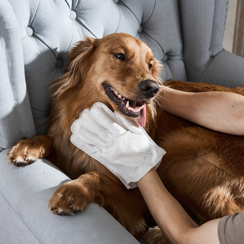 Pet Glove Wipes – Quick Care Without Water
