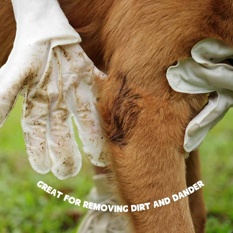 Pet Glove Wipes – Quick Care Without Water
