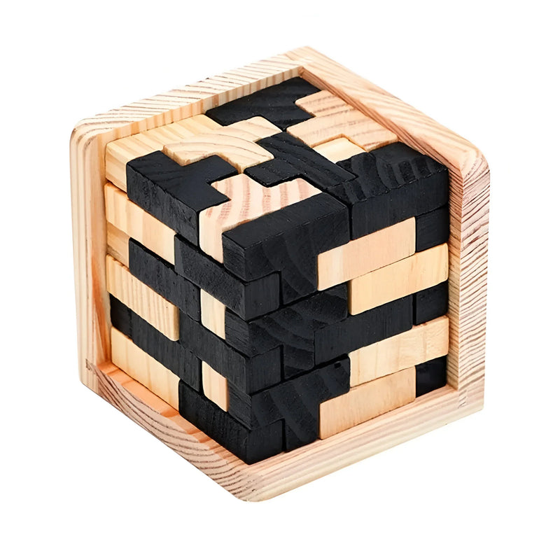 3D Wooden Brain Teaser Puzzle
