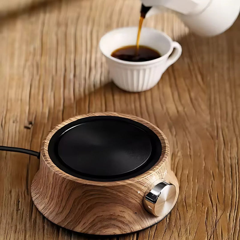Mini Electric Hot Plate with Temperature Control for Compact Use