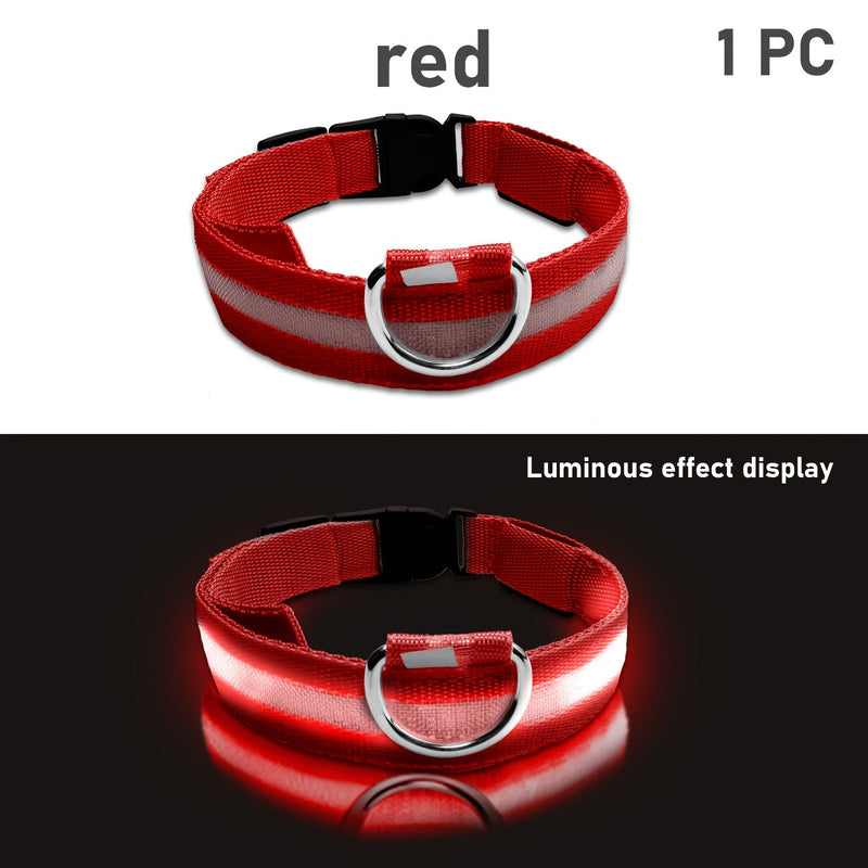 LED Dog Collar with Lighting – Visible and Safe at Night