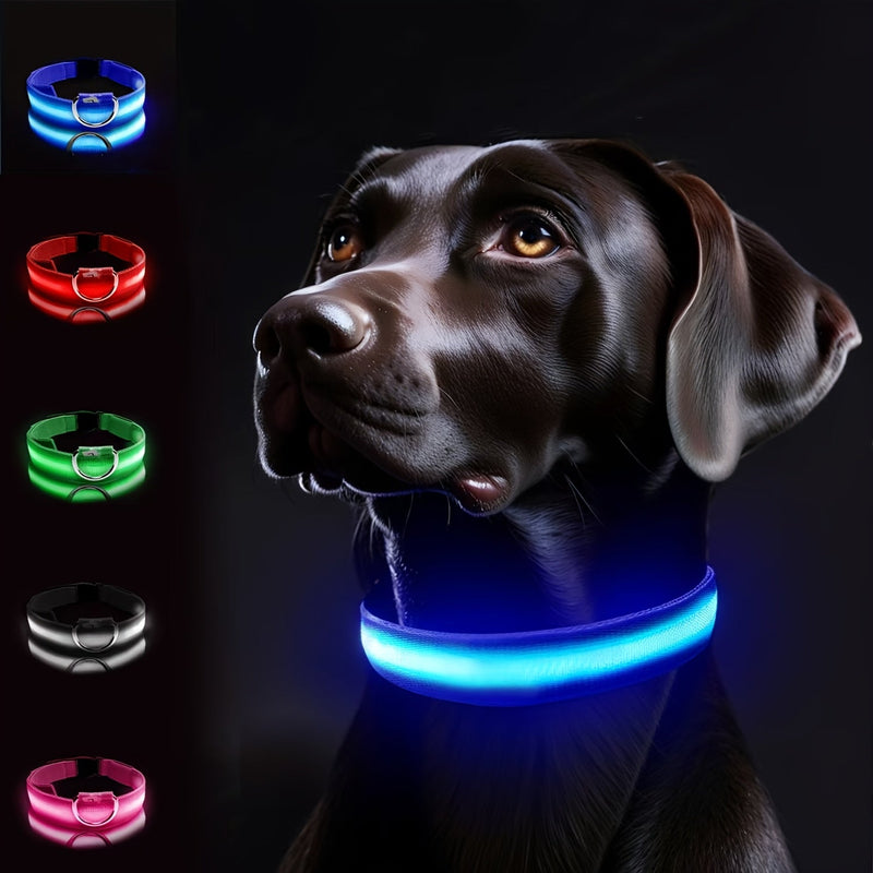 LED Dog Collar with Lighting – Visible and Safe at Night