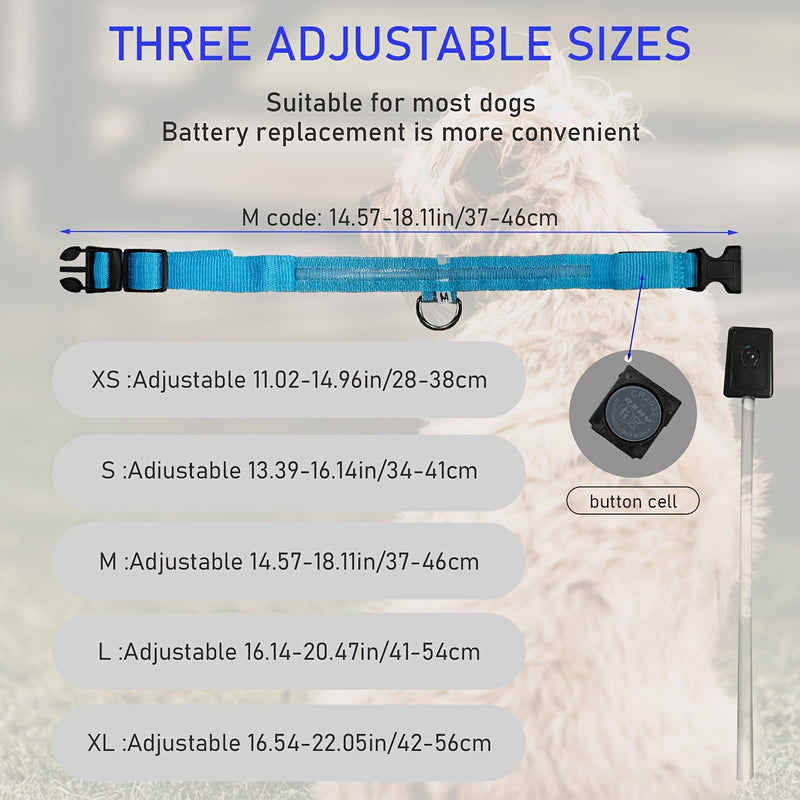 LED Dog Collar with Lighting – Visible and Safe at Night