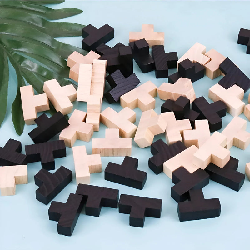 3D Wooden Brain Teaser Puzzle