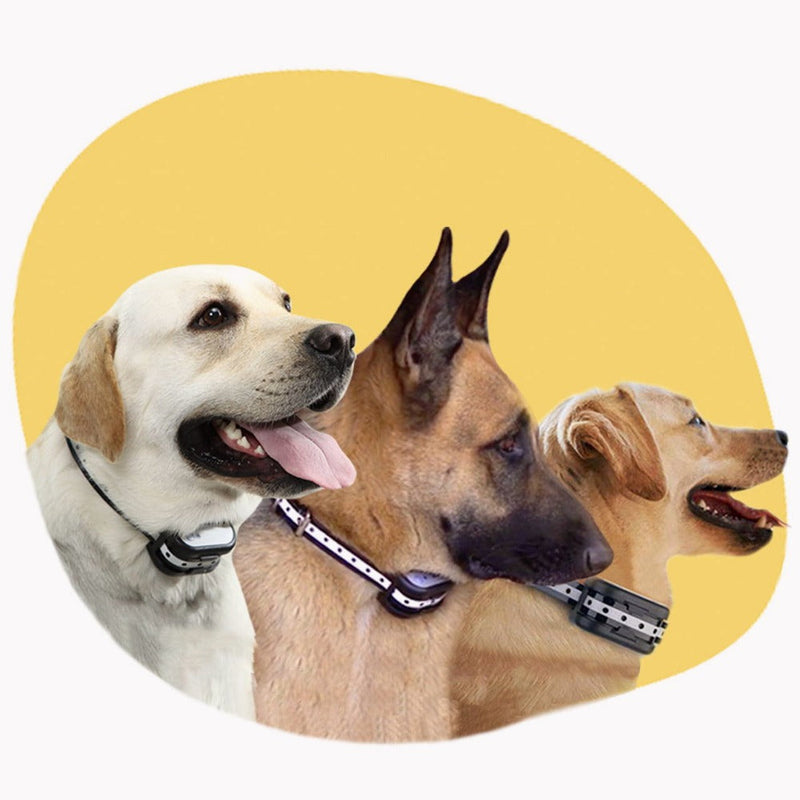 Wireless Dog Training System with Virtual Fence and Training Collar