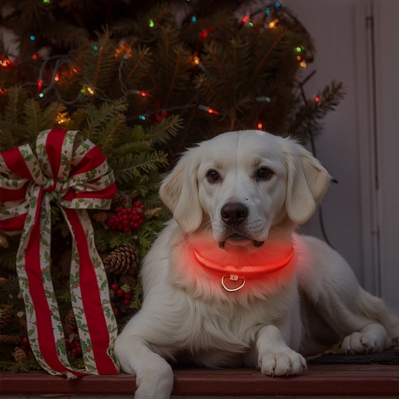 LED Dog Collar with Lighting – Visible and Safe at Night