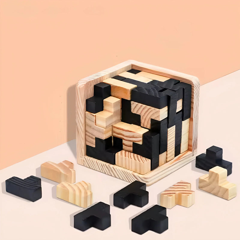 3D Wooden Brain Teaser Puzzle