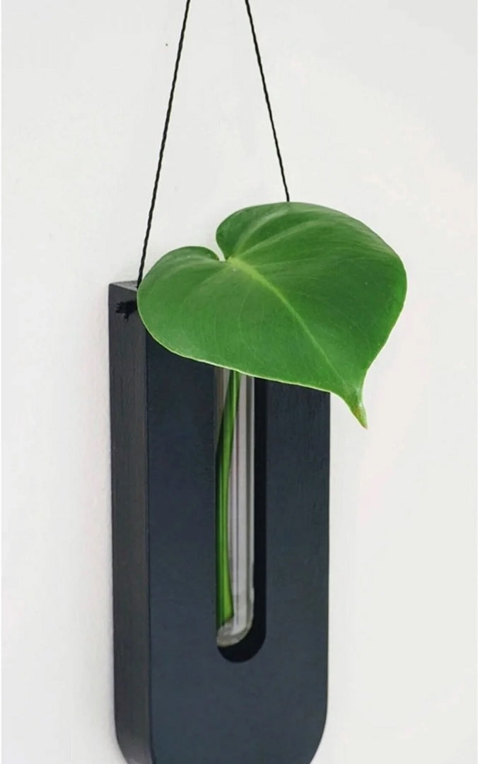 Wooden Wall Plant Holder Set for Houseplants with Minimalist and Natural Design