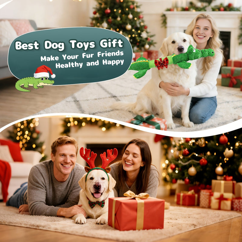 Sturdy Crocodile Dog Toy with Squeaker for Tug-of-War and Interactive Play
