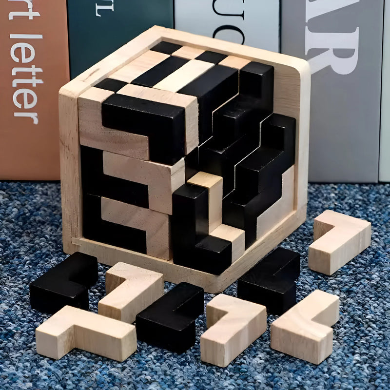 3D Wooden Brain Teaser Puzzle