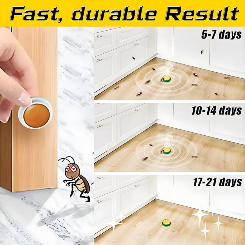 Cockroach Bait Stations