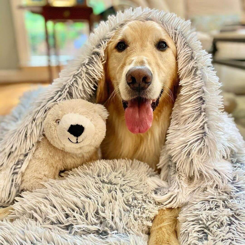Plush Dog Blanket with Soft Fibres – Comfort and Security for Dogs