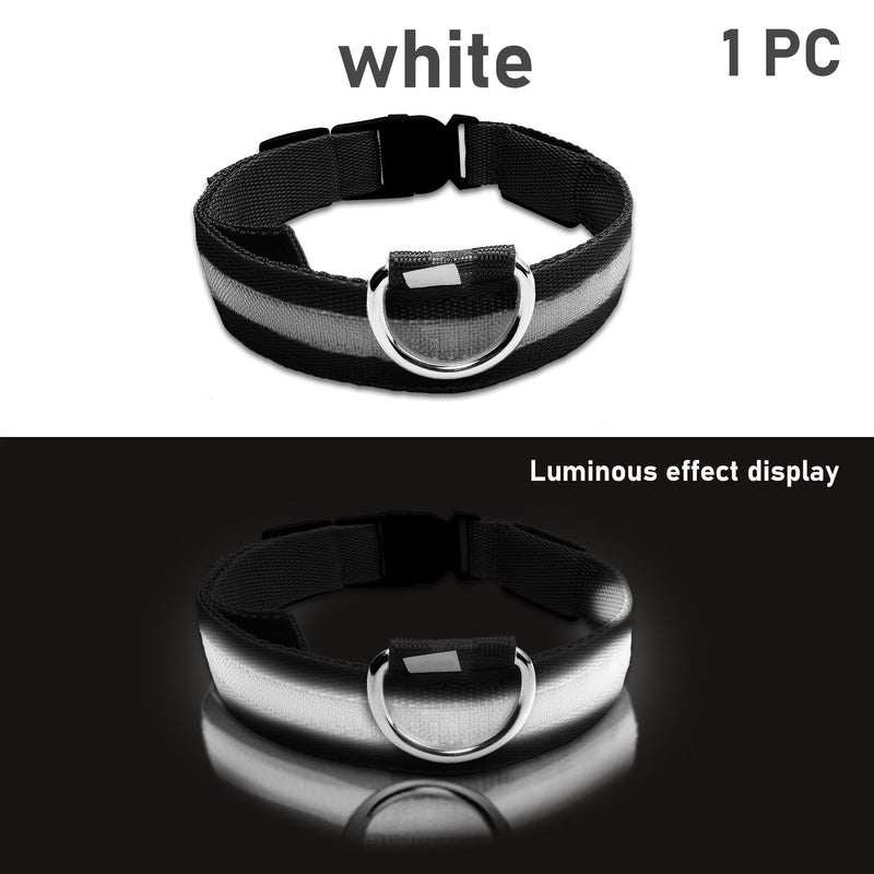 LED Dog Collar with Lighting – Visible and Safe at Night