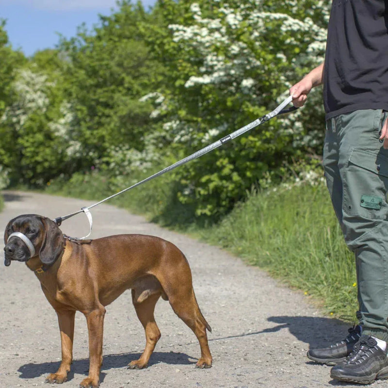 Reflective No-Pull Dog Leash with Padded Handle