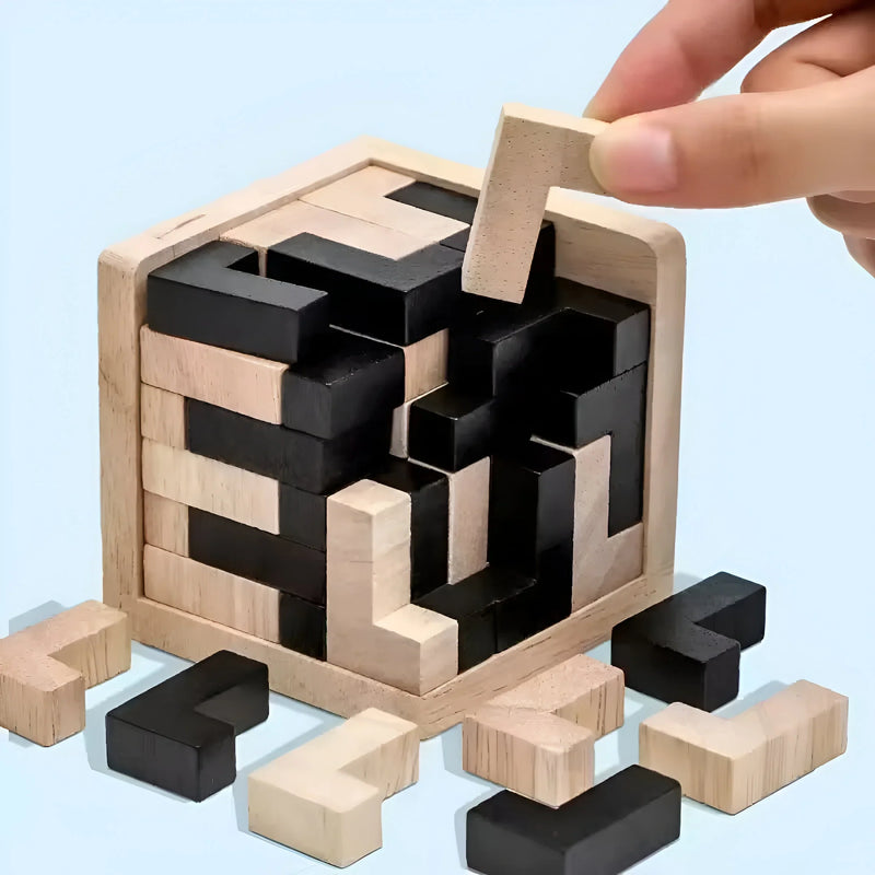 3D Wooden Brain Teaser Puzzle