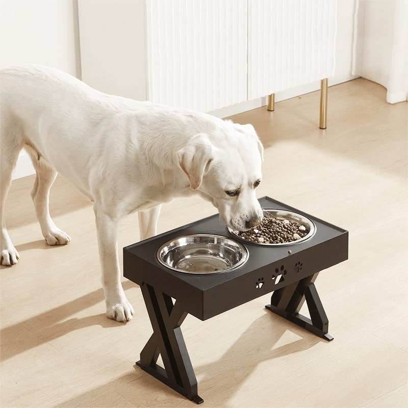 Adjustable Dog Food Bowl with Elevated Stand – Comfortable and Neat Feeding
