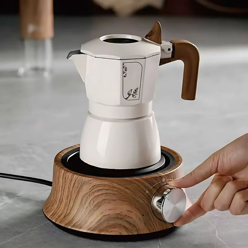Mini Electric Hot Plate with Temperature Control for Compact Use