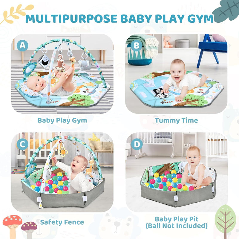Multifunctional Baby Play Mat for Development and Play with Play Arches and Ball Pit