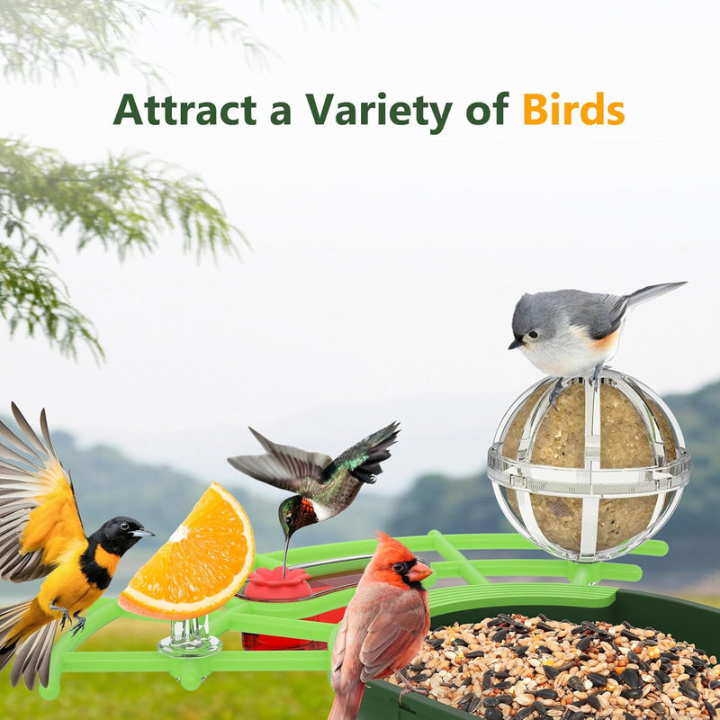 Solar Smart Bird Feeder with 2K HD Camera & AI Bird Identification
