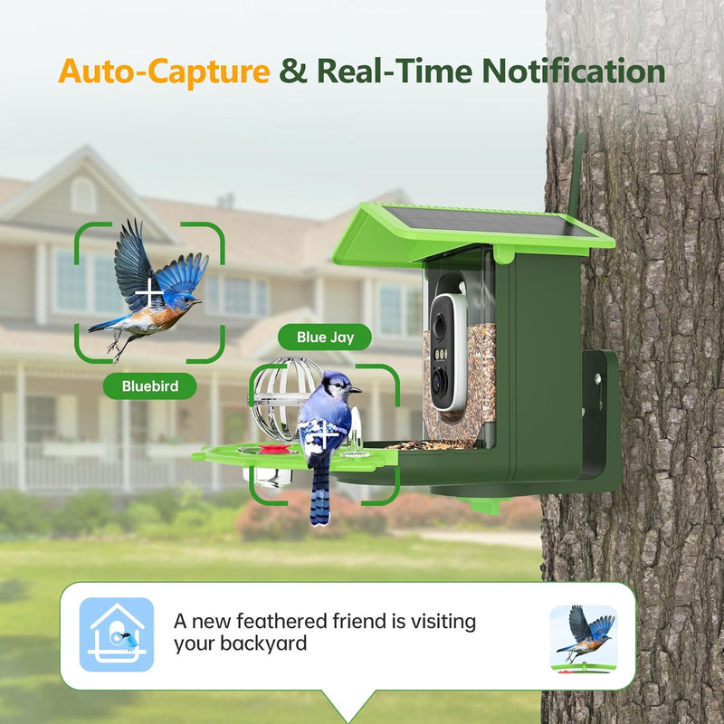 Solar Smart Bird Feeder with 2K HD Camera & AI Bird Identification