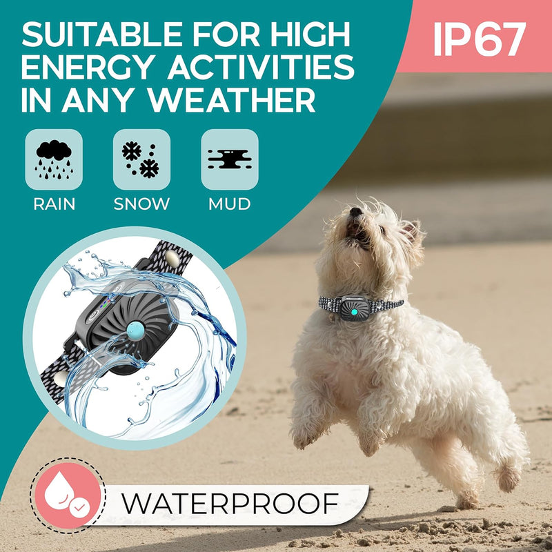 Small Dog Anti-Bark Collar with Sound and Vibration Modes