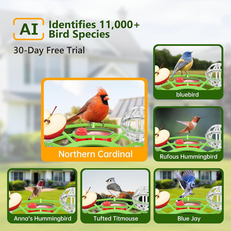 Solar Smart Bird Feeder with 2K HD Camera & AI Bird Identification
