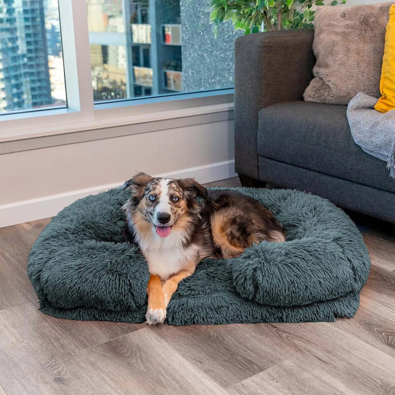 Memory Foam Dog Bed with Removable Cover