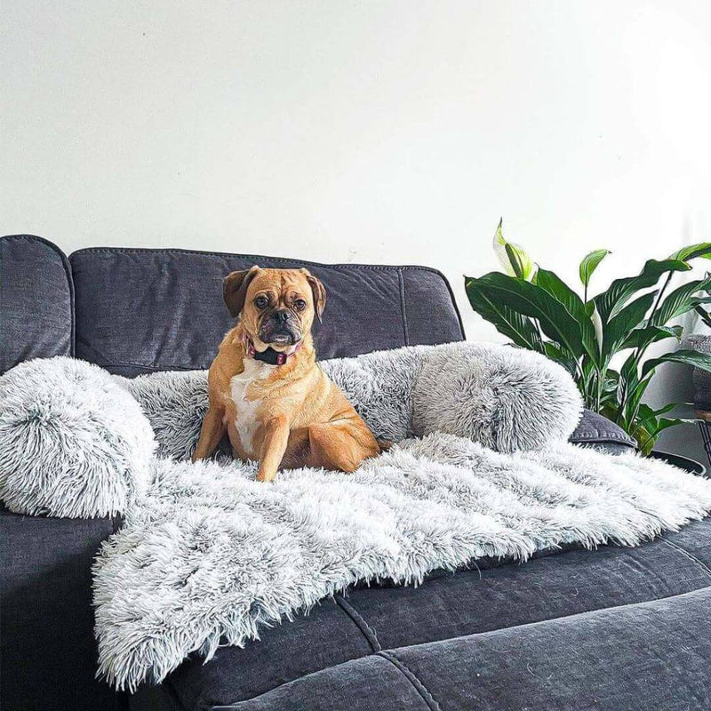 Plush Dog Bed with Raised Edges – Soft Comfort for Daily Resting