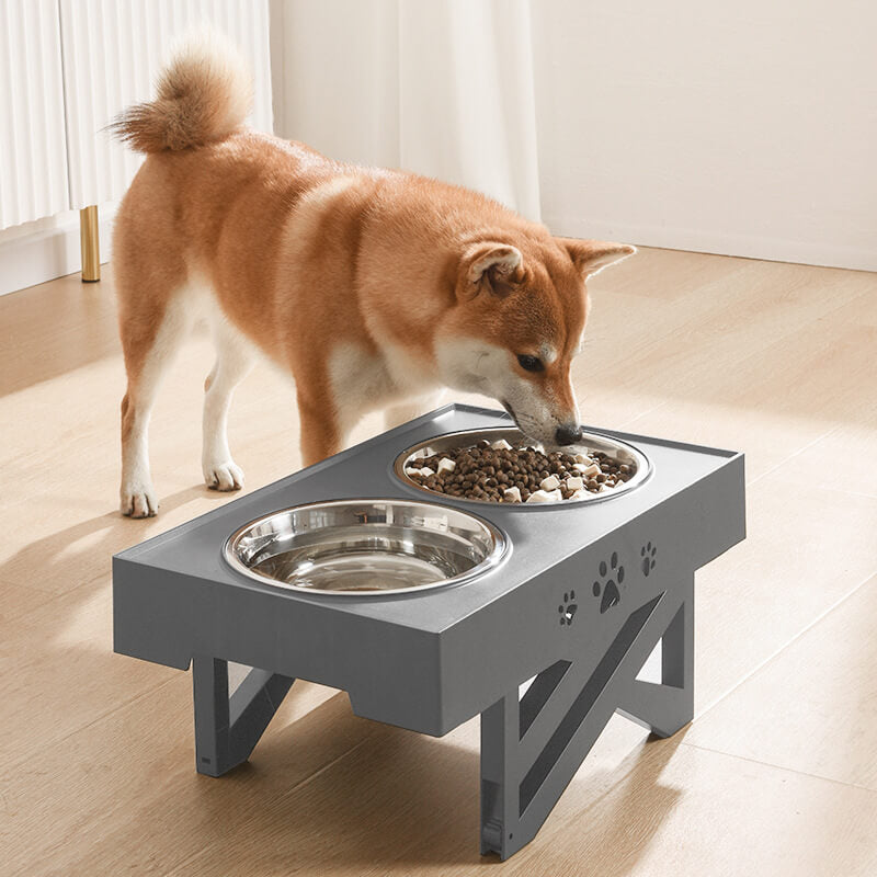 Adjustable Dog Food Bowl with Elevated Stand – Comfortable and Neat Feeding