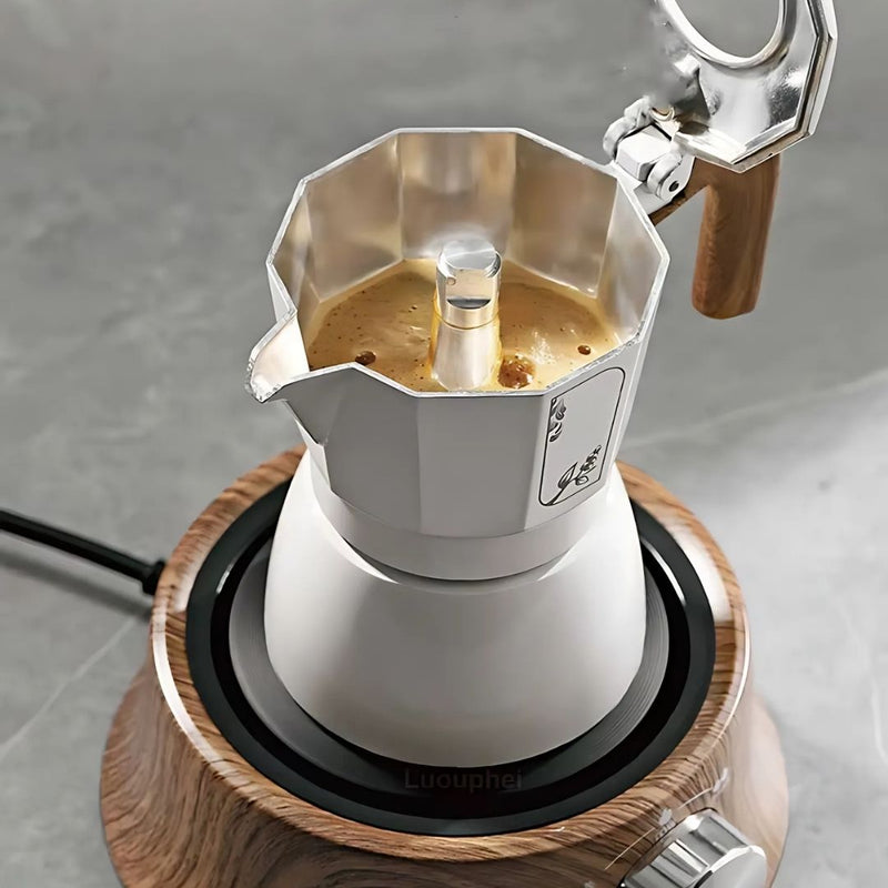 Mini Electric Hot Plate with Temperature Control for Compact Use