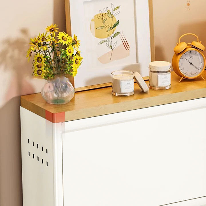 Slim Steel Shoe Cabinet with Flip-Drawer Storage