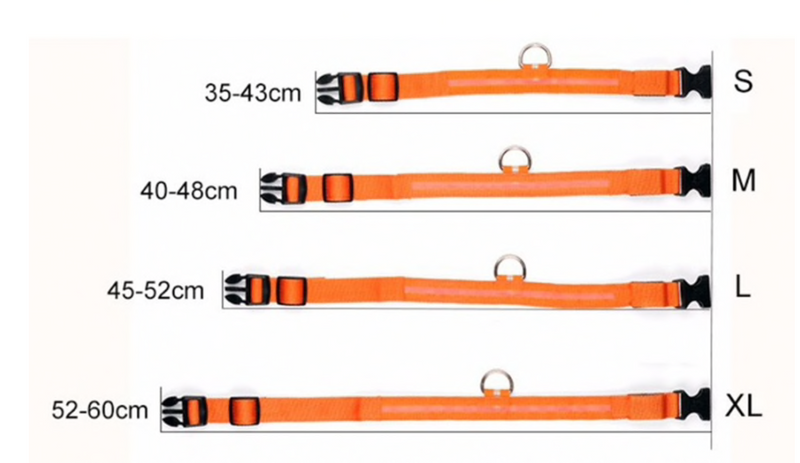 DogSafe Pro - LED Collar for Dogs - Feel Safe and Stylish While Walking