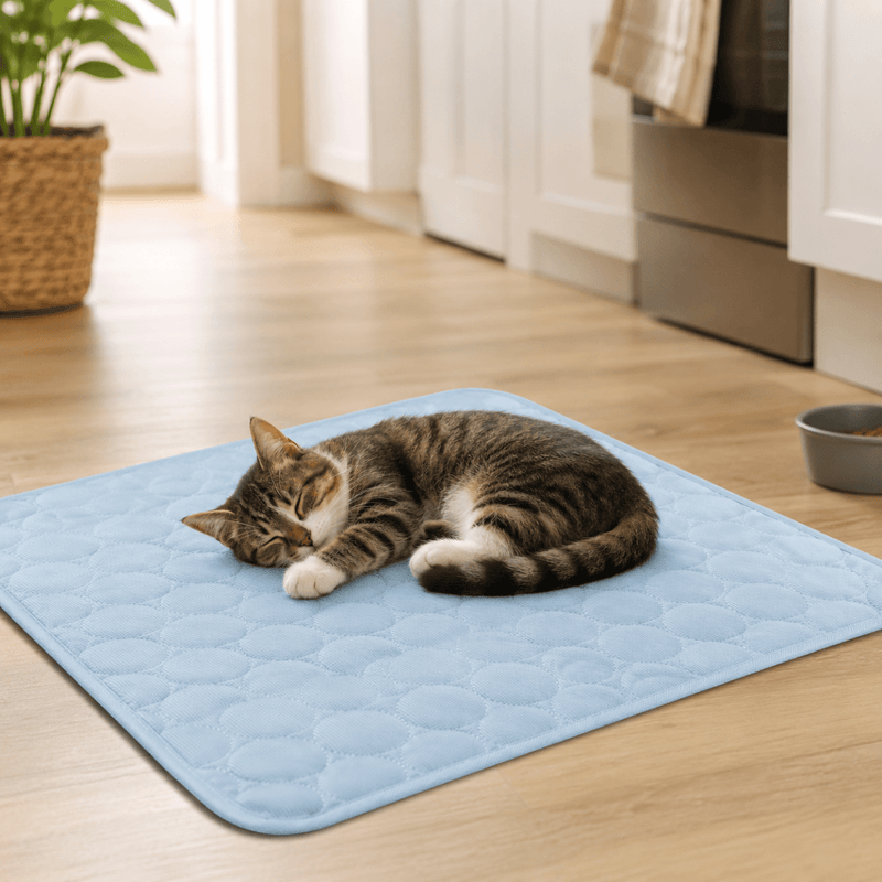 Lit rafraîchissant pour animaux de compagnie – Extra grand, design confortable pour chiens et chats