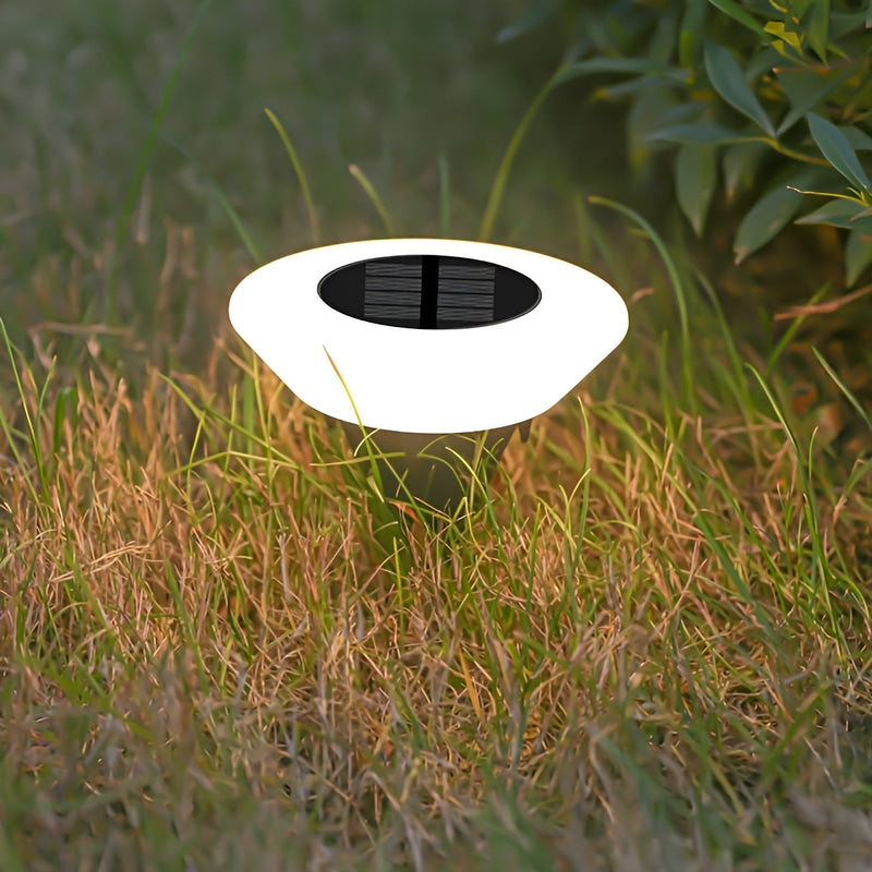 Solar LED Garden Path Light