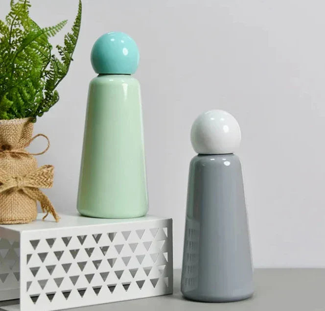 Vacuum-Insulated Reusable Water Bottle with Round Screw Cap