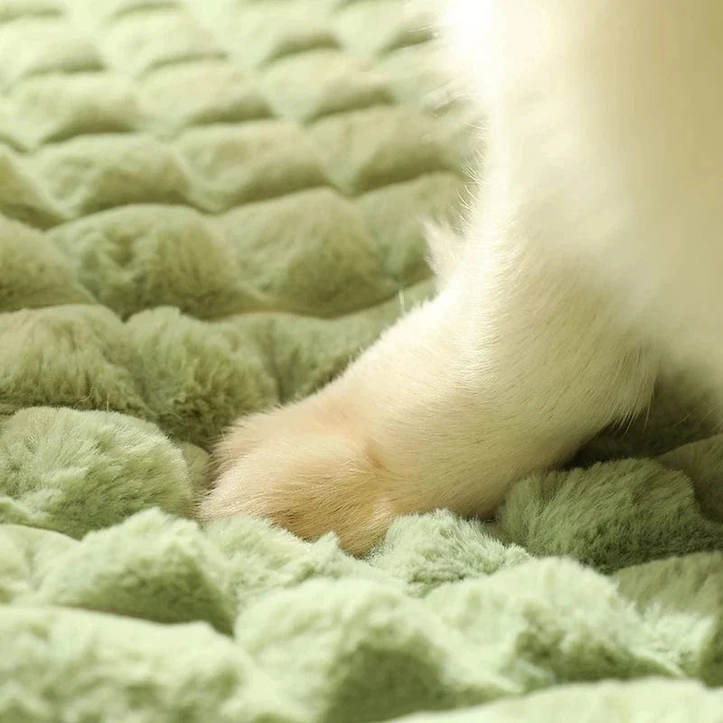 PetEase - Comfortable Dog Bed