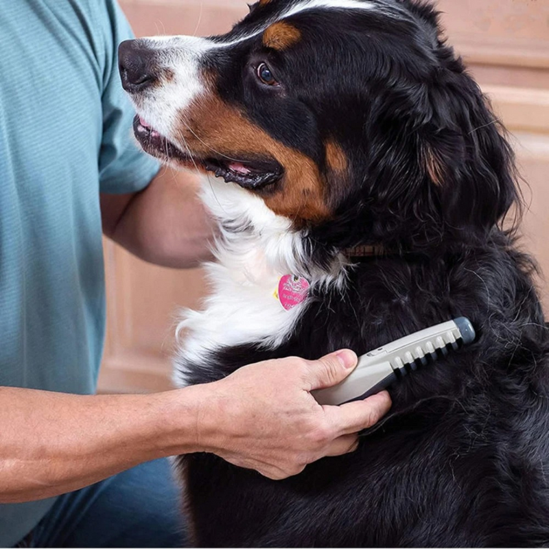 Pet Grooming Trimmer for Removing Knots and Loose Fur