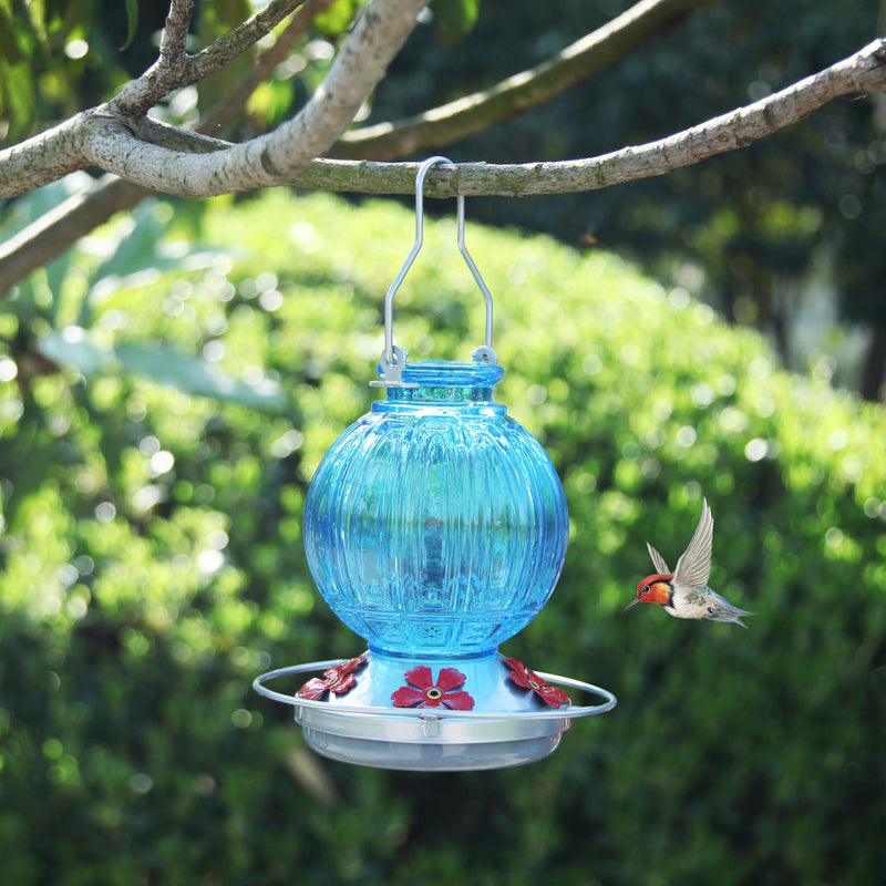 26 oz Gradient Glass Hummingbird Feeder with Circular Perch