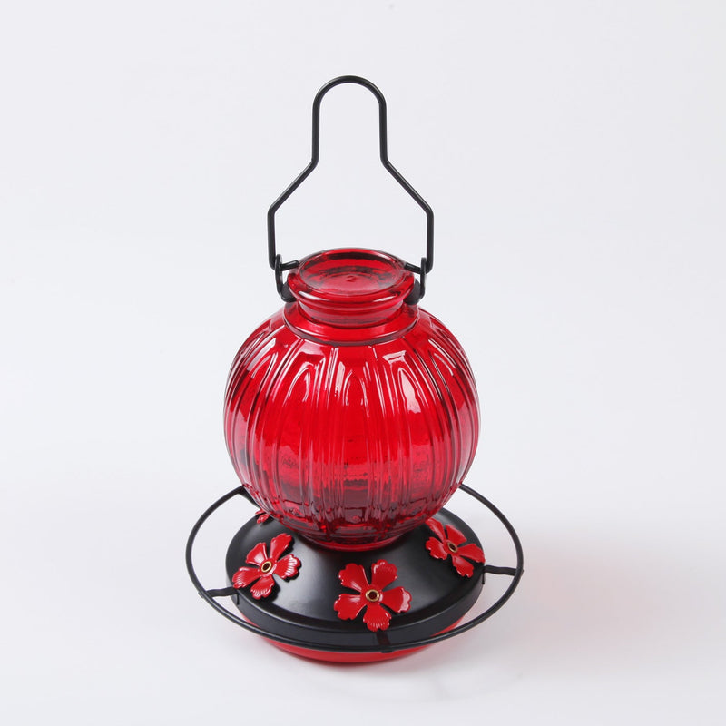 26 oz Gradient Glass Hummingbird Feeder with Circular Perch