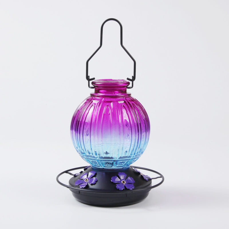 26 oz Gradient Glass Hummingbird Feeder with Circular Perch