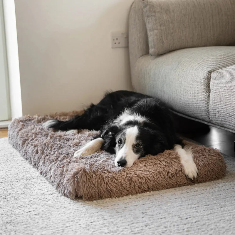 Dog Cushion for Comfortable Sleeping and Joint Support
