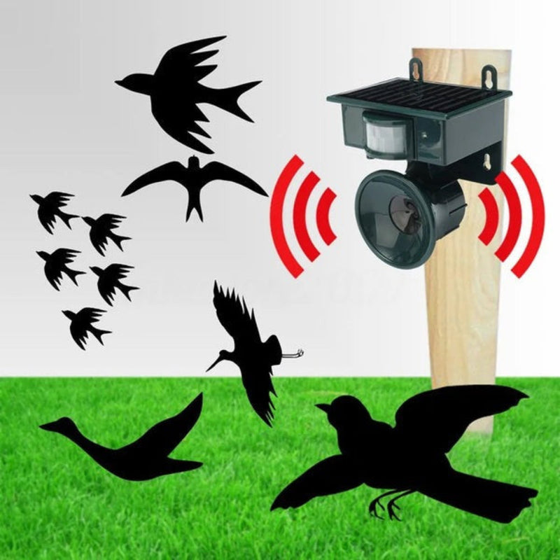 Outdoor Motion Sensor Bird Repeller with Adjustable Sound Modes